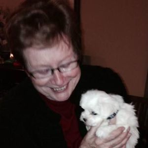 Meet your Posher, Marie